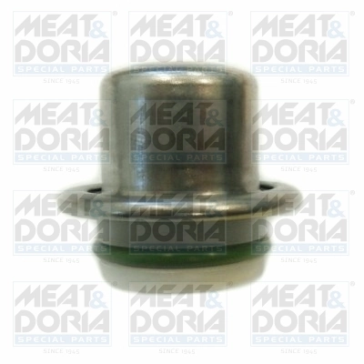 Fuel Pressure Regulator